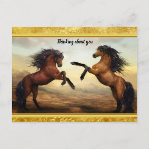 Carte Postale Friesian Draft Horses dans une vallée rocheuse de