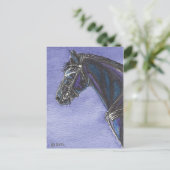 Carte postale Friesian Horse (Debout devant)