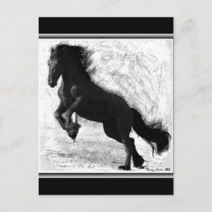 Carte Postale Friesian Power, personnalisable