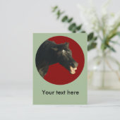 Carte Postale FriesianJoker#1 (Debout devant)