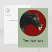 Carte Postale FriesianJoker#1 (Devant / Derrière)