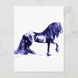 Carte Postale Friésien En Bleu