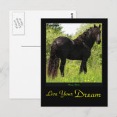 Carte postale friésienne Dreamin (Devant / Derrière)