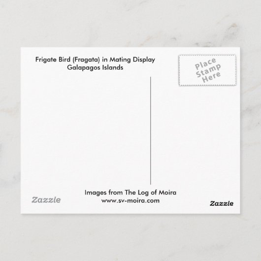 Carte Postale Frigate Bird (Fragata) dans Galapagos d'affichage (Dos)