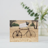 Carte Postale Frissons du mouton blanc (Debout devant)