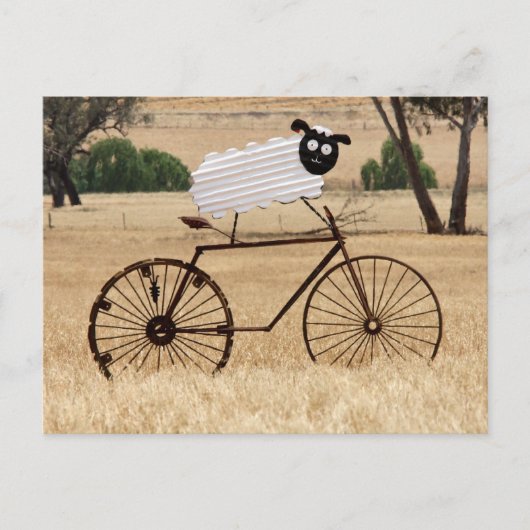 Carte Postale Frissons du mouton blanc (Devant)