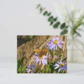 Carte Postale Fritillaire Hydaspe sur des fleurs d'aster pourpre (Debout devant)