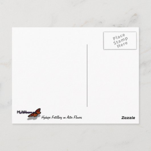 Carte Postale Fritillaire Hydaspe sur Fleurs d'Aster Violet (Dos)