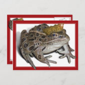 Carte Postale Frog Prince (Ajouter Votre Texte) (Devant / Derrière)