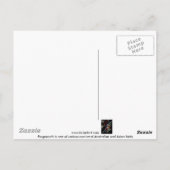 Carte Postale frogmouth de hibou (Dos)