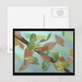 Carte Postale Frogs (Devant / Derrière)