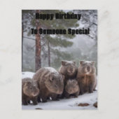 Carte Postale Froid Burrow : Australian Wombat Family, Anniversa (Devant)