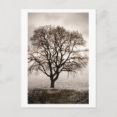 Carte Postale froid et agréable (Devant)