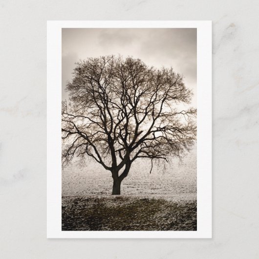 Carte Postale froid et agréable (Devant)