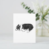 Carte Postale From one herder to another (Debout devant)