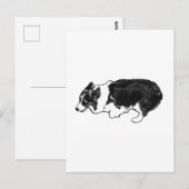 Carte Postale From one herder to another (Devant / Derrière)