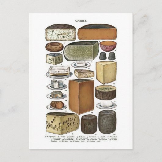 Carte Postale Fromage (Devant)