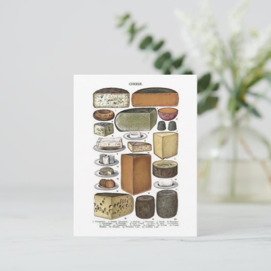 Carte Postale Fromage (Debout devant)