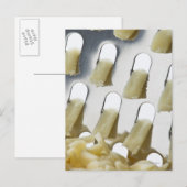 Carte Postale fromage blanc, cheddar, fromage inoxydable (Devant / Derrière)