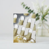Carte Postale fromage blanc, cheddar, fromage inoxydable (Debout devant)