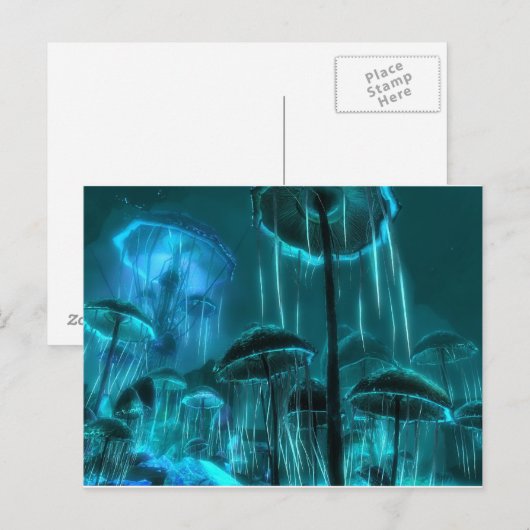 Carte Postale Fromage de champignons (Devant / Derrière)