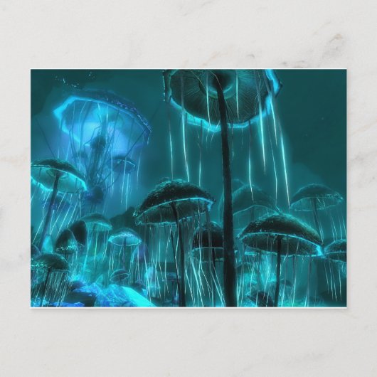 Carte Postale Fromage de champignons (Devant)