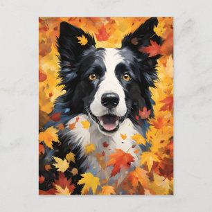 Carte Postale Frontière Collie Automne Thankesgiving