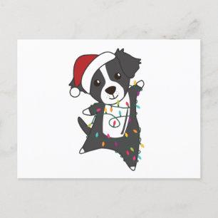 Carte Postale Frontière Collie Chien de Noël Animaux d'hiver Chi