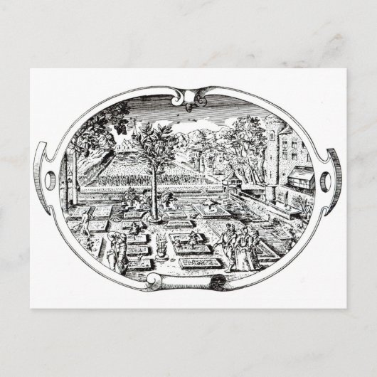 Carte Postale Frontispiece, de "The Herball", de John Gerard ( (Devant)