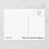 Carte Postale Frost sur un arbre solitaire (Dos)