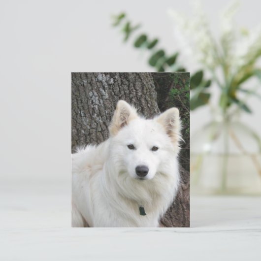 Carte Postale Frosté (Debout devant)