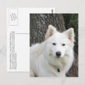 Carte Postale Frosté (Devant / Derrière)