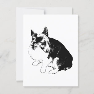 Carte Postale Frostmail Bonjour