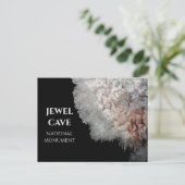 Carte Postale Frostwork Jewel Cave National Monument, SD (Debout devant)