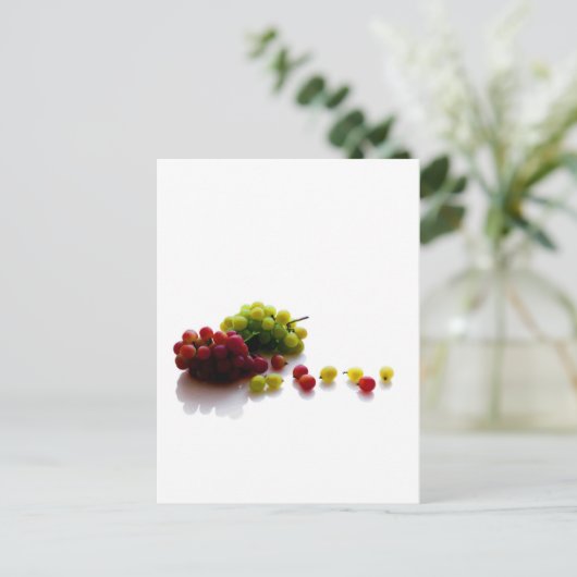 Carte Postale Fruit (Debout devant)