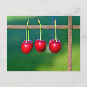 Carte Postale Fruit aux cerises rouges colorées Photo