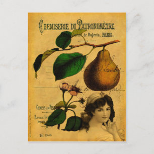 Carte Postale Fruit botanique