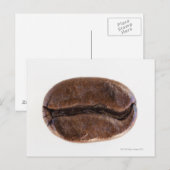 Carte Postale Fruit café rôti, studio photo (Devant / Derrière)