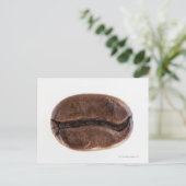 Carte Postale Fruit café rôti, studio photo (Debout devant)