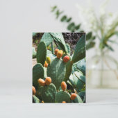 Carte Postale Fruit de cactus à poires (Debout devant)