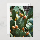 Carte Postale Fruit de cactus à poires (Devant / Derrière)