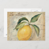 Carte Postale Fruit de citron jaune (Devant / Derrière)