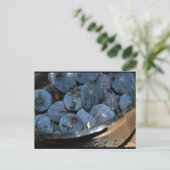 Carte Postale Fruit de figue dans passoire (Debout devant)