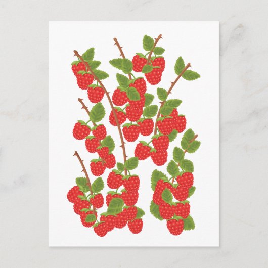 Carte Postale Fruit de framboise (Devant)