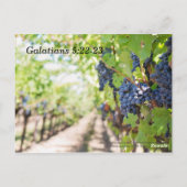 Carte Postale Fruit de l'Esprit Verset à mémoriser de la Bible (Dos)