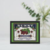 Carte Postale Fruit de Loganberry (Debout devant)