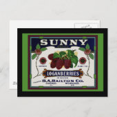 Carte Postale Fruit de Loganberry (Devant / Derrière)