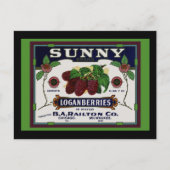 Carte Postale Fruit de Loganberry (Devant)