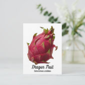 Carte Postale Fruit dragon (Debout devant)