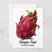 Carte Postale Fruit dragon (Devant / Derrière)